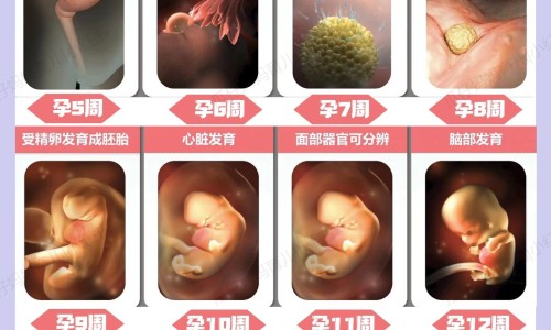 香米好吃还是大米好吃-大米与香米的区别专区_香米好吃还是大米好吃专区_大米和香米的营养有什么区别网