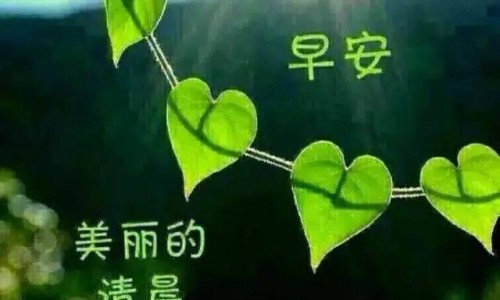 香米好吃还是大米好吃-大米与香米的区别专区_香米好吃还是大米好吃专区_大米和香米的营养有什么区别网